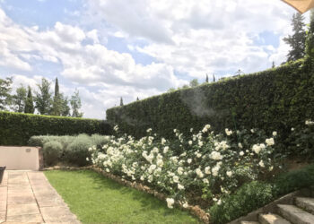 Mister Mosquito: il miglior sistema antizanzare ad Arezzo